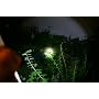 WALTHER LED-TASCHENLAMPE CTP TACTICALPRO Walther
