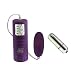 California Exotics / Swedish Erotica Waterproof Pocket Exotics Bullet Bullet Adult Sex Toy Kit