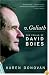 v. Goliath: The Trials of David Boies