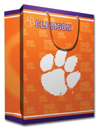 NCAA Team Logo Medium Gift Bag
