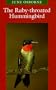 The Ruby-throated Hummingbird (Corrie Herring Hooks)