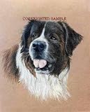 Saint Bernard - Portrait by Cindy Farmer