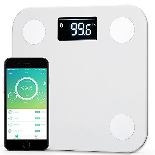 #1 Smart Scale Brand--Yunmai FDA Listed 2 Million Users Bluetooth Body Fat Scale & Body Composition Monitor with Free Fitness App and Extra Large Display