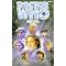 Doctor Who Anthologies part 1 (of 2)