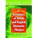 A Dictionary of Welsh and English Idiomatic Phrases: Welsh-English/English-Welsh