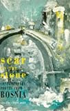 Cover of Scar on the Stone by  1852244151