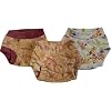 Sprightly Soaker & Underwear Pattern