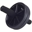 Double Exercise Wheel