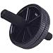 Double Exercise Wheel