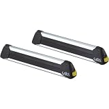 Saris Locking Ski & Snowboard Carrier