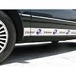 Minnesota Vikings Car Trim Magnets