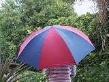 Review Cbuyers  / Cbuyers Ub201 Golf Umbrella Blue/Burgundy