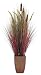Laura Ashley Realistic Silk Contemporary Onion Grass Plant with Planter, 48-Inch Tall