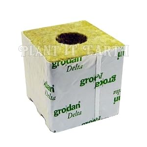 Grodan Rockwool - 4x4x4in. Cubes, 6 pack, w/holes