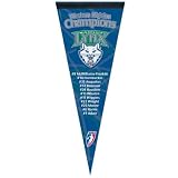 MINNESOTA LYNX OFFICIAL 30" WNBA PENNANT