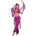 Rubie's Arabian Princess Costume