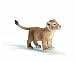 Schleich Lion Cub