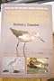 Facts on File Field Guide to North Atlantic Shorebirds: A Photographic Guide to the Waders of Western Europe and Eastern North America