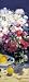 Evening II - Omar Hamdi Malva Art Print Poster 10 x 28
