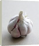 Box Canvas Print of Garlic bulb from Science Photo Library