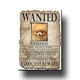 Pomeranian Wanted Fridge Magnet