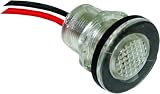 SeaSense LED UTILITY / LIVE WELL BLU 50023823