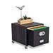 BirdRock Home Rolling File Cabinet with 1 Lateral Drawer â€“ Decorative Storage Shelf for Blankets, Books, Files, Magazines, Toys, etc â€“ Removable Bin with Handles â€“ Under Desk Office Organizer