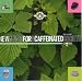 New Music for a Caffeinated Society