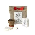 Apple Tree-To-Be Kit