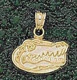 Anderson Jewelry Florida Gators Gator Head 3/8 Gold Charm