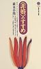 ＜非婚＞のすすめ (講談社現代新書)