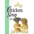 A Little Spoonful of Chicken Soup for the Soul: Just for Friends (Chicken Soup for the... by  Jack Canfield and Mark Victor Hansen