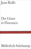 Der Llano in Flammen.