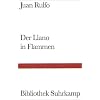 Der Llano in Flammen.