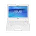 ASUS Eee PC 900 8.9-Inch Netbook (Intel Mobile Processor, 1 GB RAM, 20 GB Solid State Drive, Linux, 4 Cell Battery) Pearl White