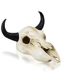 K&A Imports Buffalo-Skull, Extra Large