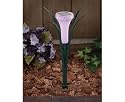 Accent Lighting Solar Flower Light Set of 4