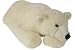 46 Jamie Polar Bear