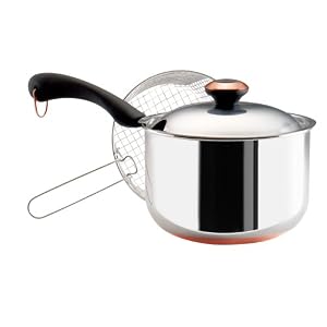 Paula Deen 4-Quart Stainless Steel Deep Fryer with Basket and Lid