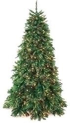 8.5' Full Tiffany Fir Pre-Lit Artificial Christmas Tree - Multi Lights