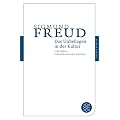 Das Unbehagen in der Kultur: Und andere kulturtheoretische Schriften (Fischer Klassik)