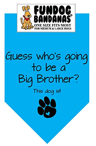 BANDANA - Guess Who's Going to Be a Big Brother for Medium to Large Dogs - turquoise