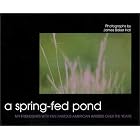A Spring-Fed Pond by James Baker Hall