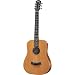 Taylor Guitars Baby Taylor, BT2, Mahogany, Natural