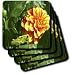 SmudgeArt Flower Art Designs - Dahlia Flower And Grasshopper - Photography Flowers - Coasters