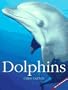 Dolphins
