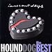 HOUND DOG～GOLDEN J-POP/THE BEST