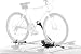 Thule 598 Criterium Upright Rooftop Bicycle Carrier
