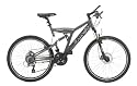 Texo Herren Fahrrad 26 (559 mm) MTB Alu Fully D-Type 24-Gang Shimano Acera Kettenschaltung mit Disk Brake vorn und hinten, cromo, 48 cm