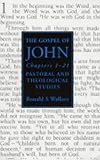 The Gospel of John : pastoral and theological studies